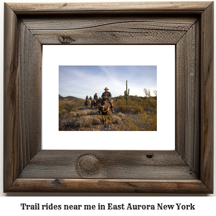 trail rides near me in East Aurora, New York